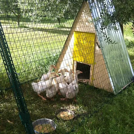 Alojamento de Acomodação e Pequeno-almoço Collis Paradisi